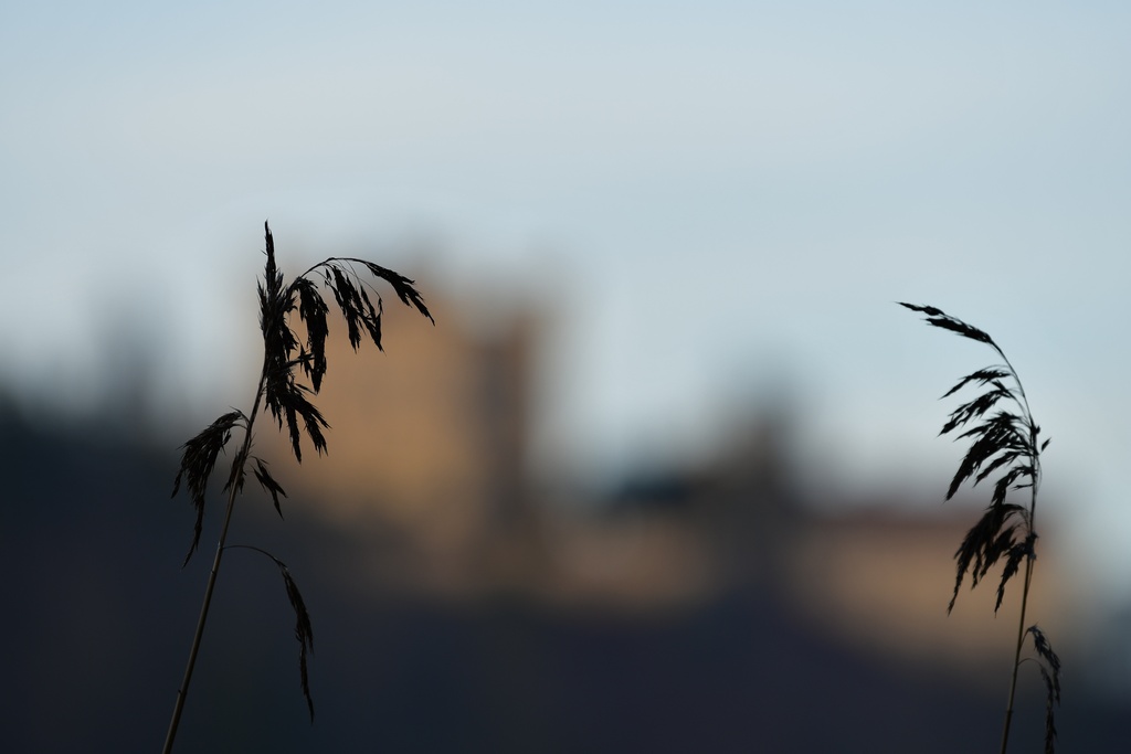 2018-12-29 Hohenschwangau/DSC_8811.JPG